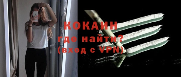 ECSTASY Богданович