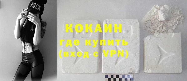 ECSTASY Богданович