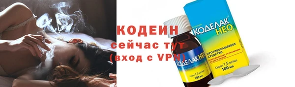 ECSTASY Богданович