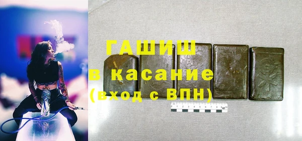 ECSTASY Богданович