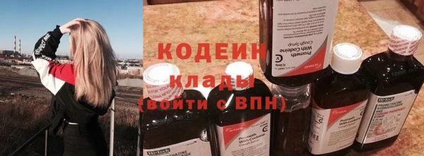 ECSTASY Богданович